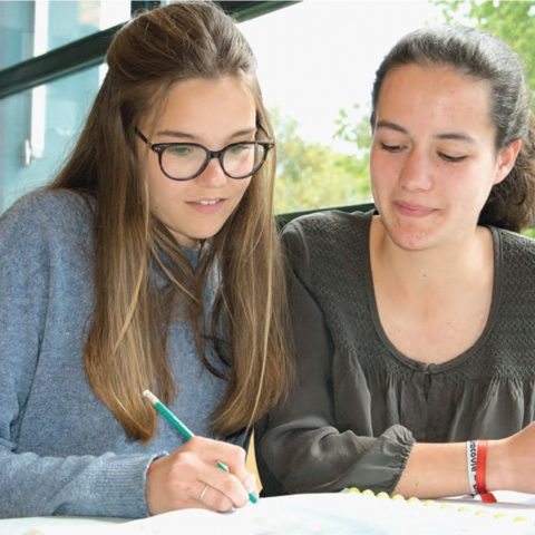 Le tutorat au lycée